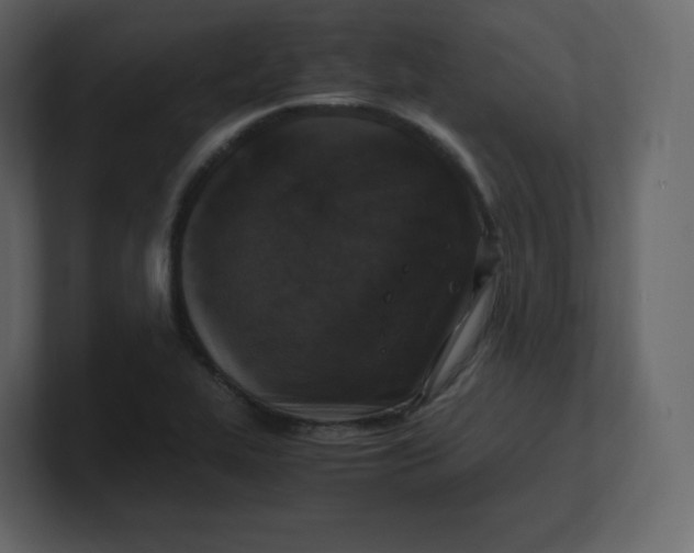 X0000100941319200807151257