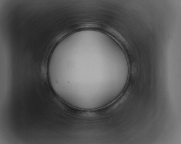 X0000100941321200807151257