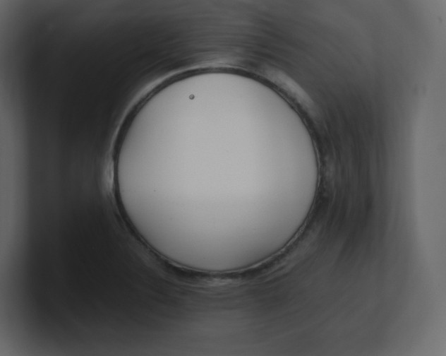 X0000100941324200807151257