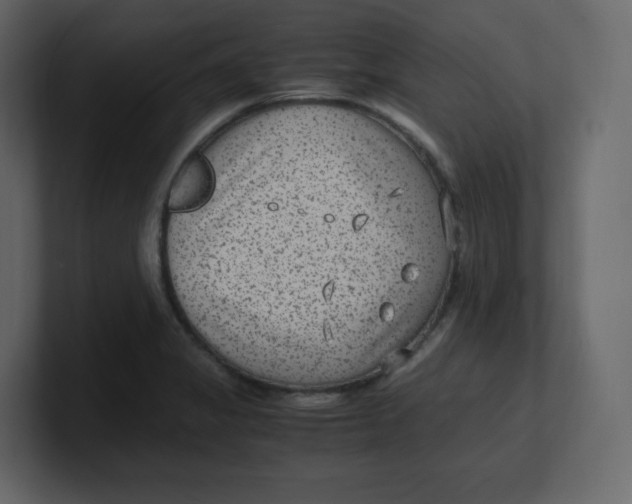 X0000100941325200807151257