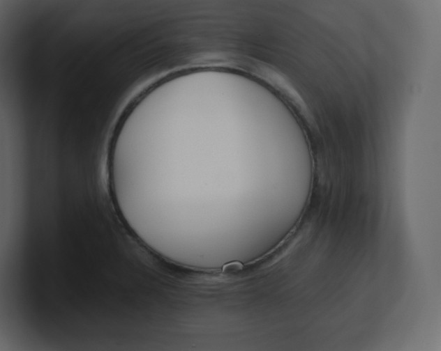 X0000100941328200807151257