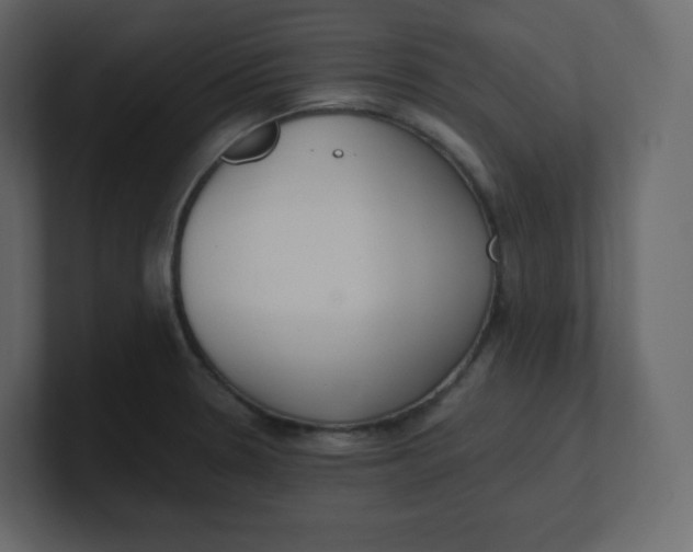 X0000100941330200807151257