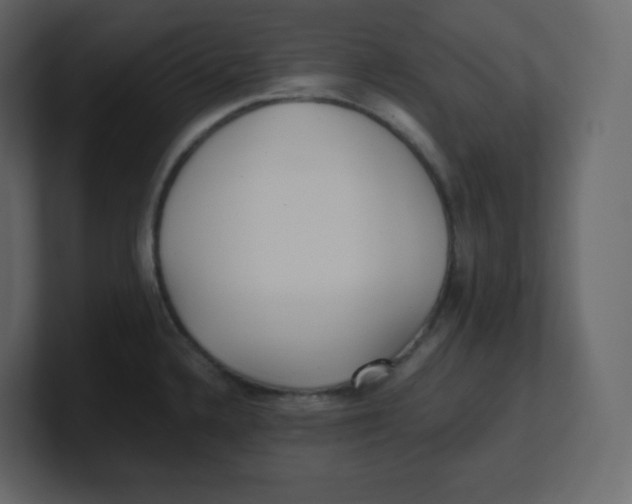 X0000100941336200807151257