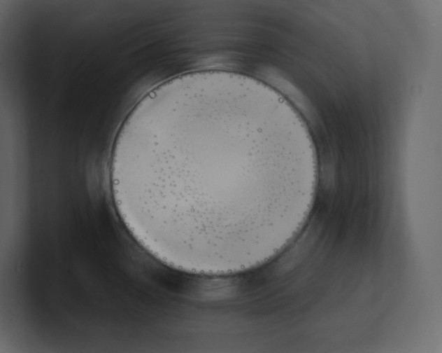 X0000100941338200807151258