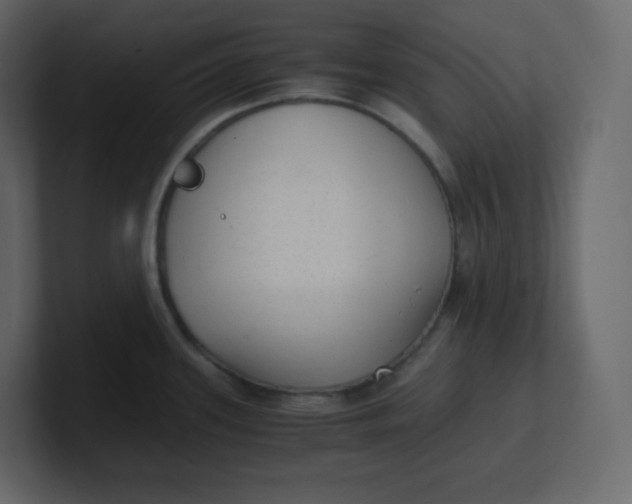 X0000100941339200807151258