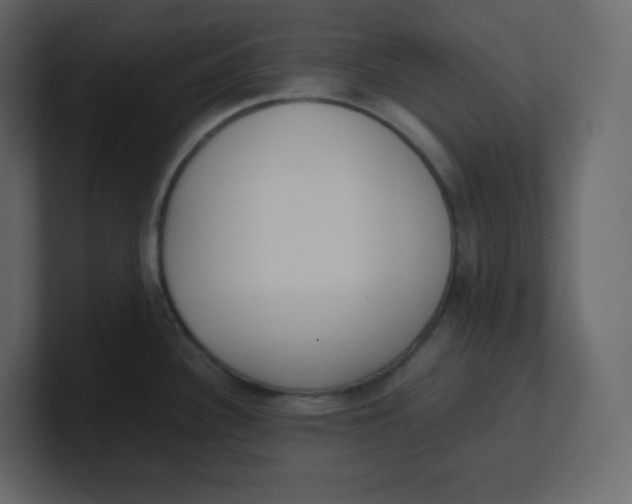 X0000100941340200807151258