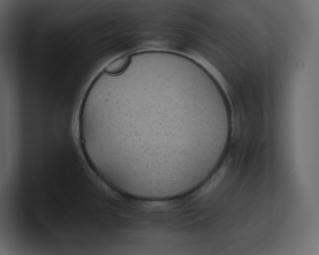 X0000100941341200807151258