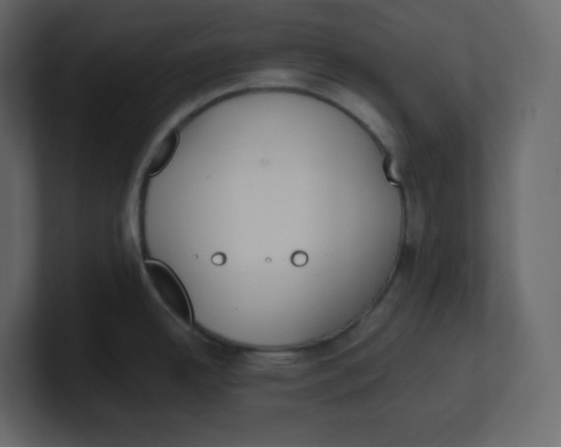 X0000100941342200807151258