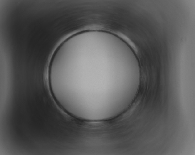 X0000100941343200807151258