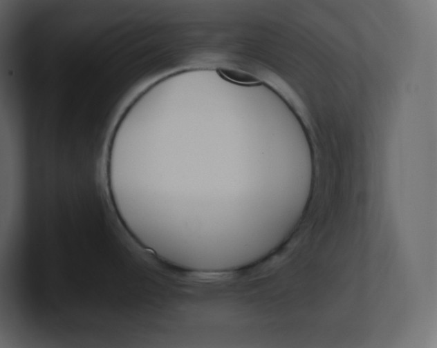 X0000100941344200807151258