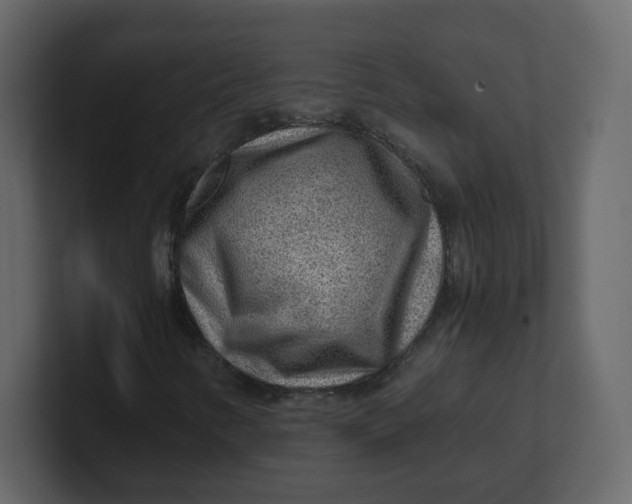 X0000100941346200807151257