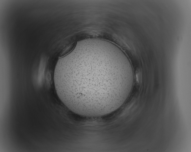 X0000100941347200807151257