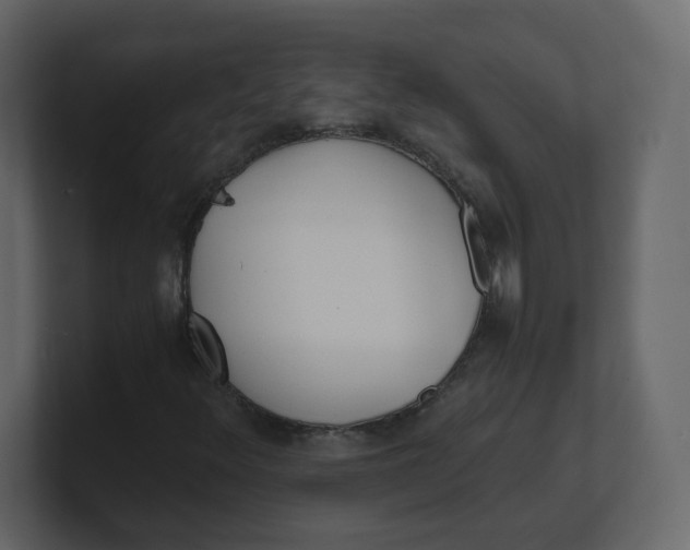 X0000100941348200807151257