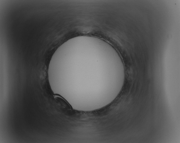 X0000100941349200807151257