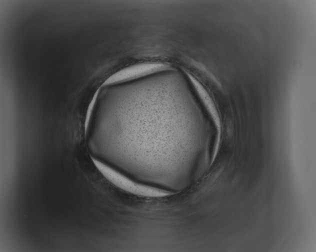 X0000100941350200807151257