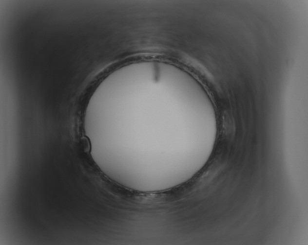 X0000100941352200807151257