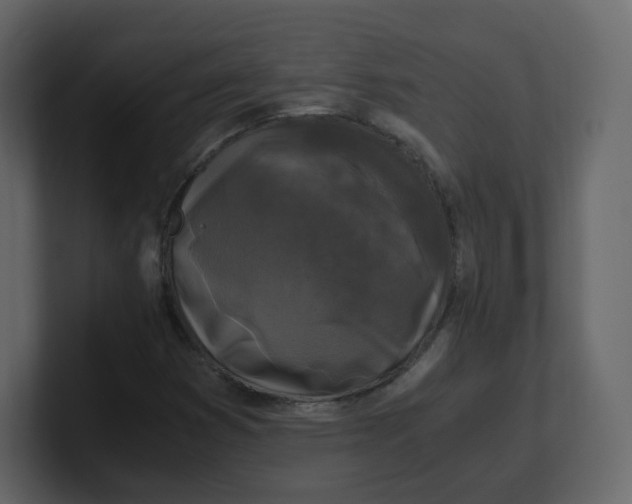 X0000100941353200807151257