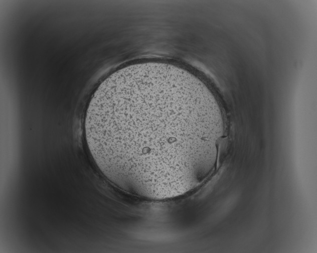 X0000100941355200807151257