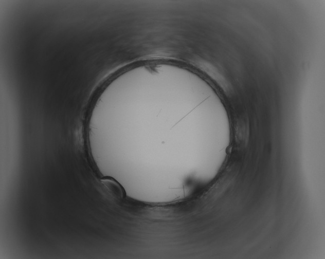 X0000100941356200807151257