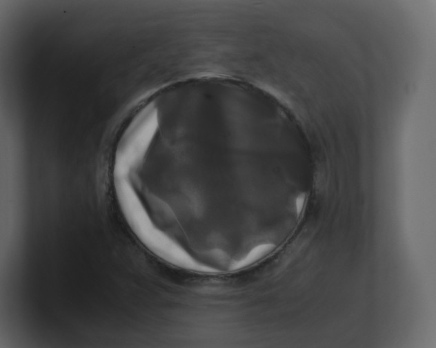 X0000100941359200807151257