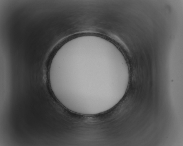 X0000100941360200807151257