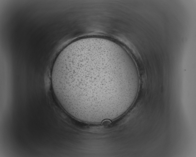 X0000100941363200807151257