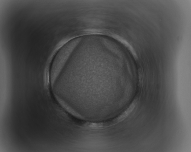 X0000100941365200807151257