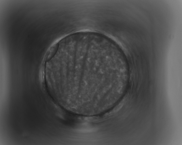 X0000100941367200807151257