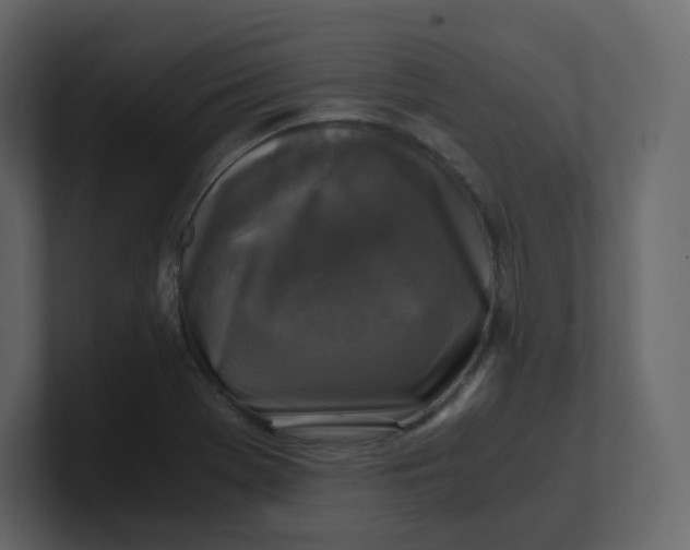 X0000100941369200807151257