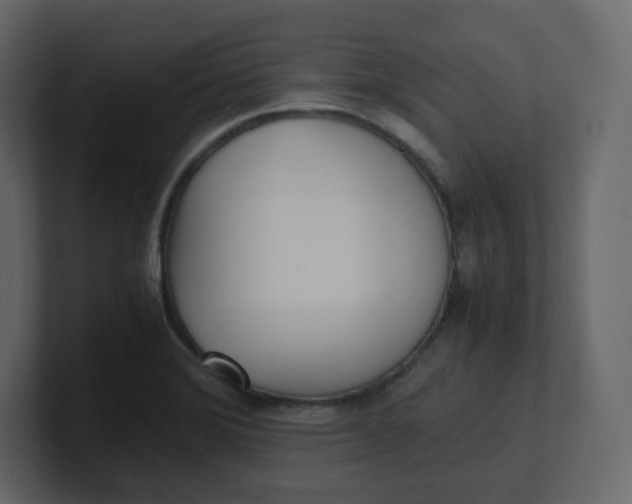 X0000100941372200807151256