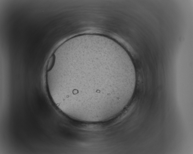 X0000100941375200807151256