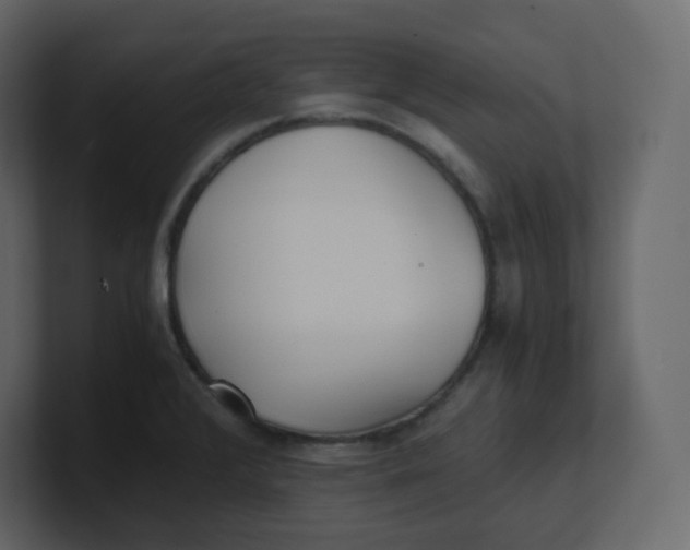 X0000100941376200807151256