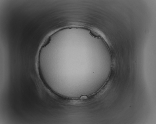 X0000100941379200807151256