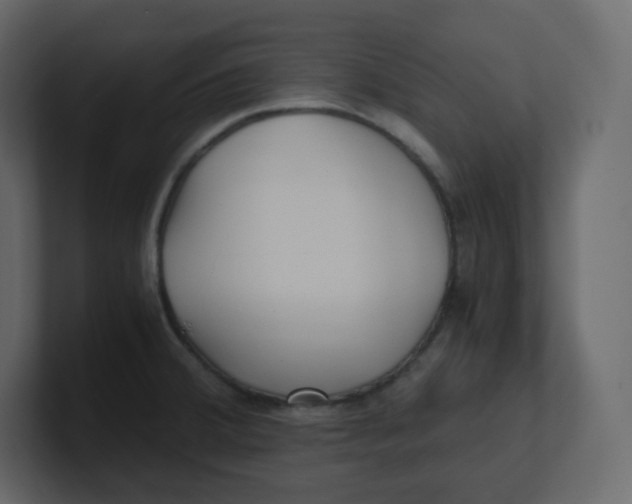 X0000100941380200807151256