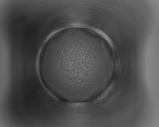 X0000100941381200807151256