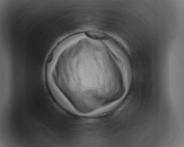 X0000100941382200807151256