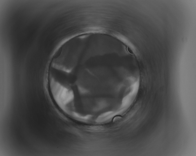 X0000100941383200807151256