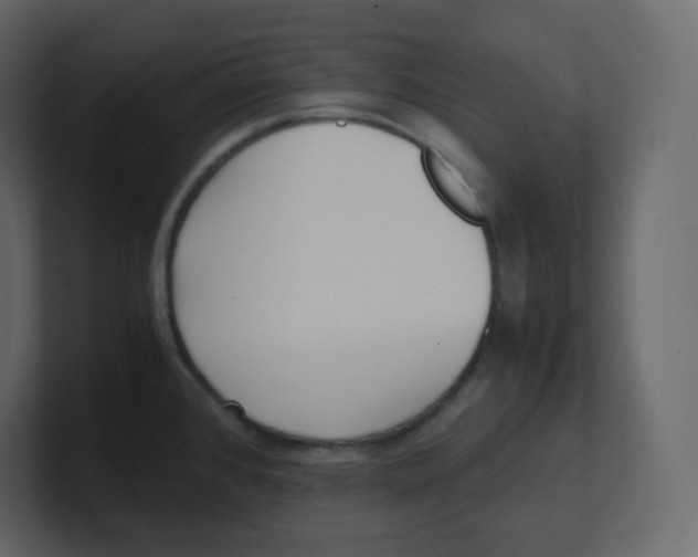 X0000100941384200807151256