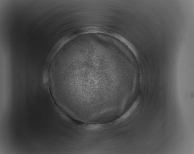 X0000100941385200807151256