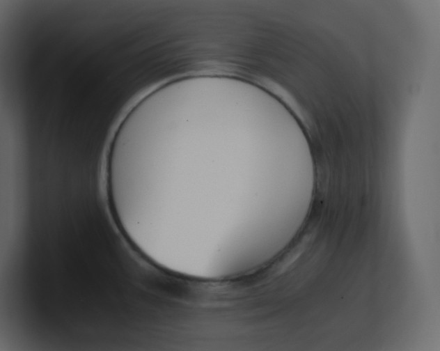 X0000100941387200807151256