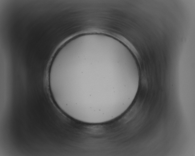 X0000100941388200807151256