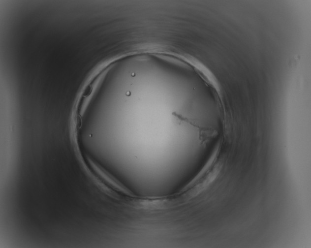 X0000100941389200807151256