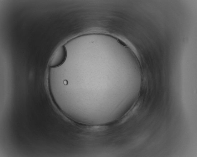 X0000100941390200807151256