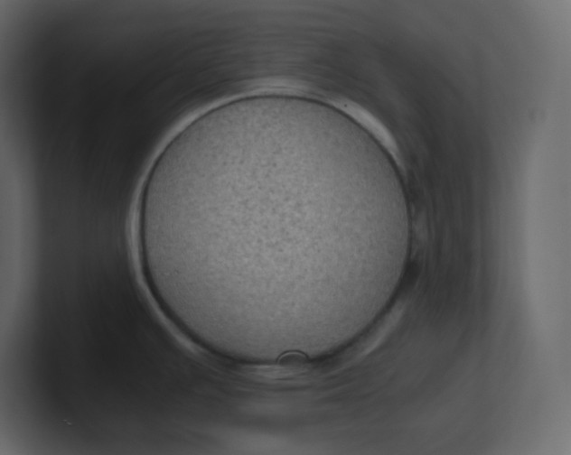 X0000100941391200807151256