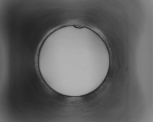 X0000100941392200807151256