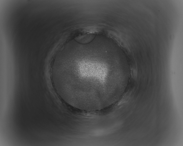 X0000100941393200807151256