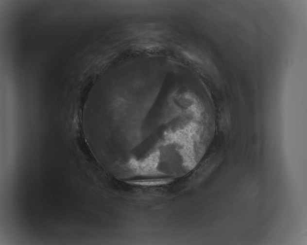 X0000100941397200807151256