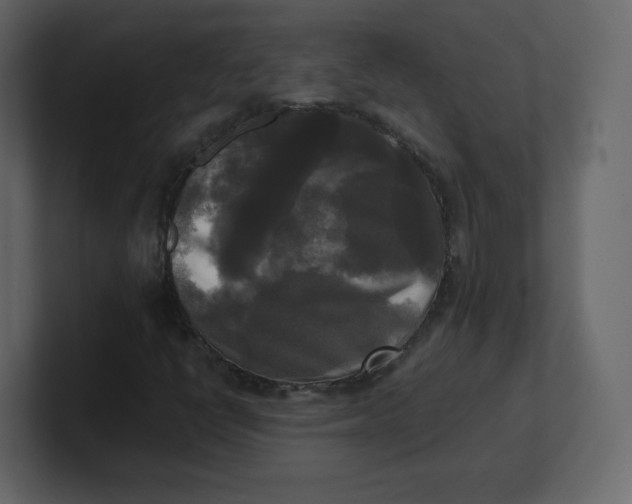 X0000100941398200807151256