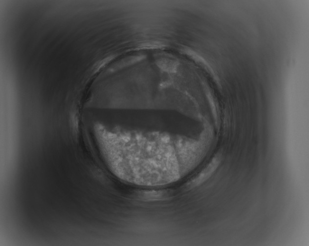 X0000100941401200807151256