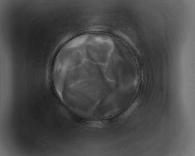 X0000100941405200807151256